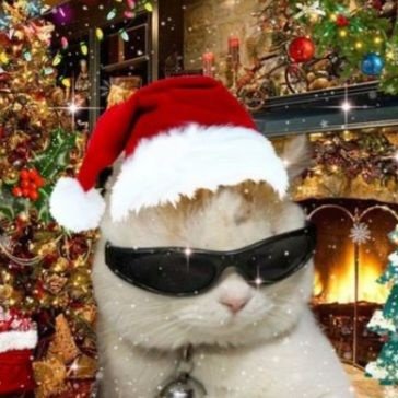 Jevl96's profile picture. #ETH #BTC 

There is no tomorrow
I don't have to run. I just have to keep going

Thank you God today and always!