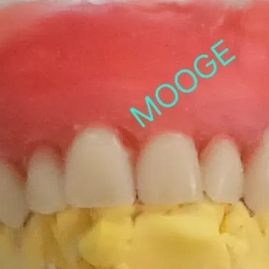 MMooge1's profile picture. 