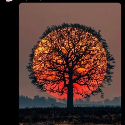 Con55047Edilson's profile picture. 