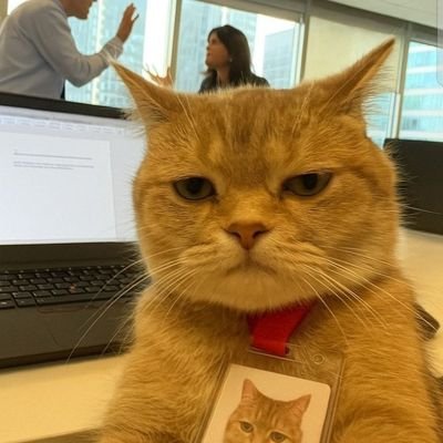 yusufkimindo's profile picture. programmer