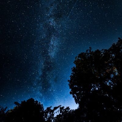 StageFire1's profile picture. ...