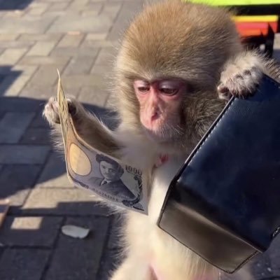 nnbunpup's profile picture. Can my bitchass get a ni hao