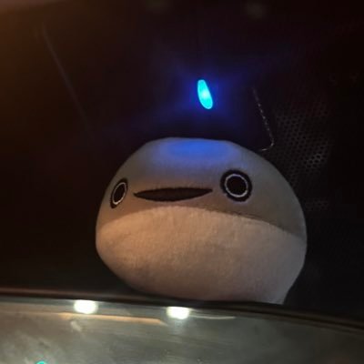 alexandrite090's profile picture. 見たっていいことは1つもないアカウント。楽しい時はお祭り騒ぎをし、死にたい時は病み散らかすのです。ENTPのちゃっかりうさぎ