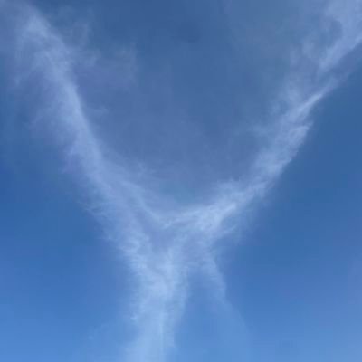 VeinLess35's profile picture. 