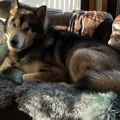 _Mikhhu's profile picture. 