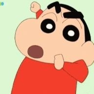 Shinchan_Mitsi's profile picture. India has only these allies :
1. India
2. India
3. India
4. India
5. India