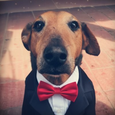 academiaveredal's profile picture. En la academia de la nada puede usted matricularse mañana…. Nada tiene razón de ser, nada puede suceder, nada es nuestra quimera, nada es nuestra bandera.