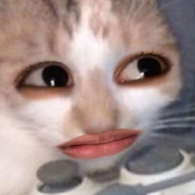 mo0uwza's profile picture. 