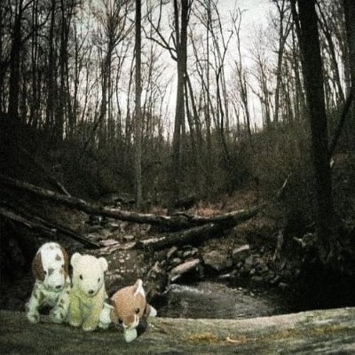 zweikana's profile picture. Declared a "Nihilistic Violent Extremist" by the Federal Bureau of Investigation.