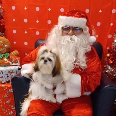 HeatherDodd6's profile picture. TX. SRO. Myla, my fur baby,was a 🌈 Lt. in ZombieSquad #ZSHQ #ZSMedic #TheAviators Mascot #Zombiebullz/Major Mailyn LeLa #TheRuffRiderz