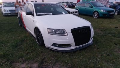 tamas6206's profile picture. 