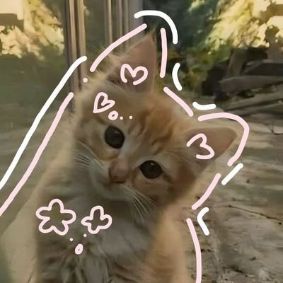 prayansh2006's profile picture. 