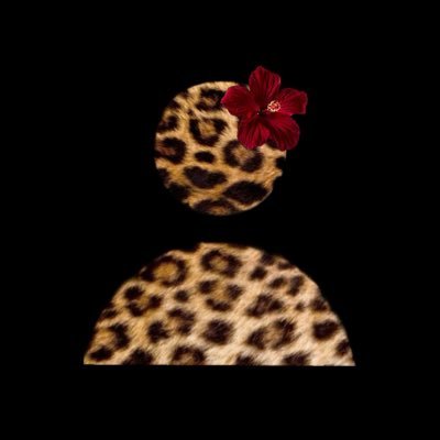 sshykt's profile picture. 🇲🇦