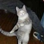 _thinkdeepr's profile picture. 