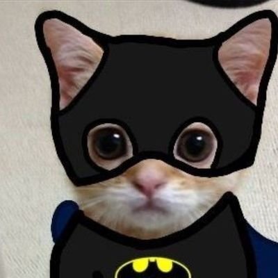 Ralfn1234's profile picture. founder of @stormregionesp manage 
https://t.co/jntCD8n2Et
duo @azalad19
inquiries: @Glitchunter_