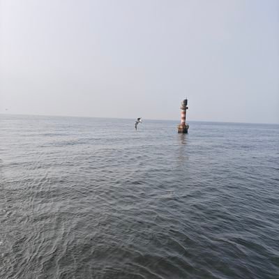 24kk348682's profile picture. 我