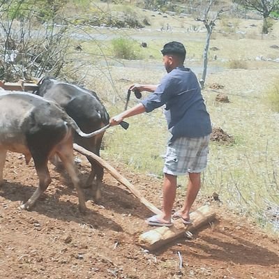 Online0809's profile picture. fan @RCBTweets & @FCBarcelona || Just Be Online To Read My Tweets🙏|| UK09 ठेठ पहाड़ी ❣️