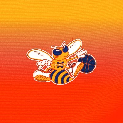 hornets's profile picture. New Era. New Mindset. #HiveMentality