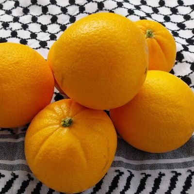 Manugutieco's profile picture. FELIZ 2026