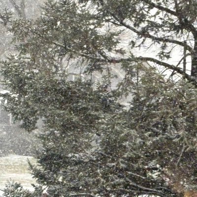 AidenNEilwx's profile picture. | Weather Enthusiast | Huge Cubs Fan (92-72) NLDS | Bears Fan | Bulls Fan | Blackhawks Fan | Michigan Fan| #FlyTheW #DaBears #GoBlue