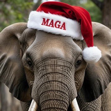 elephant_23's profile picture. Husband, Father and Christian. Traditional values. Unapologetically conservative. MAGA. Calling out leftist spin, lies and hypocrisy.