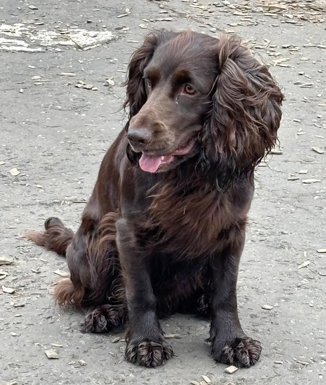 Terryduuuude21's profile picture. 