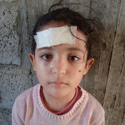 AyyadAtef83735's profile picture. 