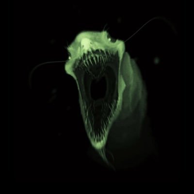 Broly89273's profile picture. 