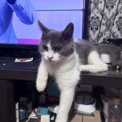 RGesper70865's profile picture. The end is the begining is the end