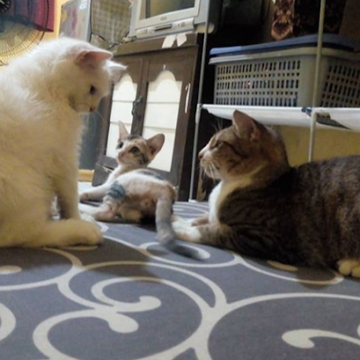 Happyaugt's profile picture. 