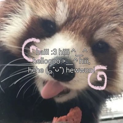 lilywjelly's profile picture. 我的宝贝 stew 🤍