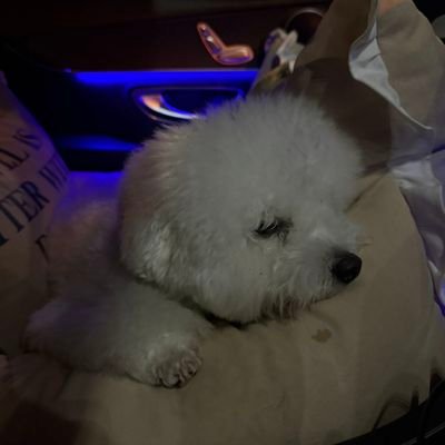 maeww0_'s profile picture. 