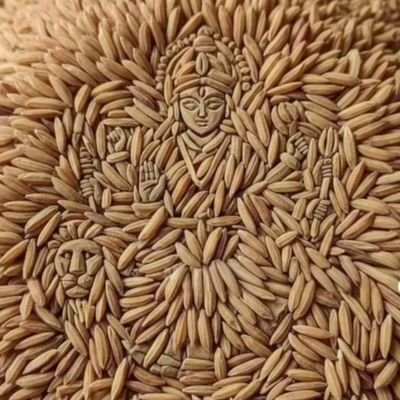 ROHITFROMBHARAT's profile picture. SANATANI, BJP SUPPORTER,
SHARE MARKET TRADER, 
INVESTOR, 
TECHINICAL ANALYST,