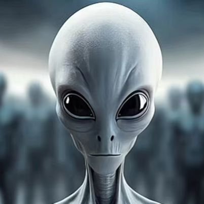 Cryptomandana's profile picture. 