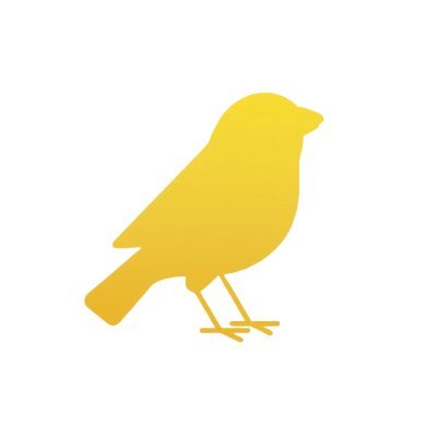 qanari_ai's profile picture. Your personal voice newsletter