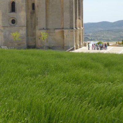 AlbertBulckens's profile picture. History, economics, economic history, historical economics, behaviorism, D.Kahneman, H.Vd Wee, J.Mauldin, N.Roubini, L.Alden, P.Turchin, N.Ferguson, A.Fergusson