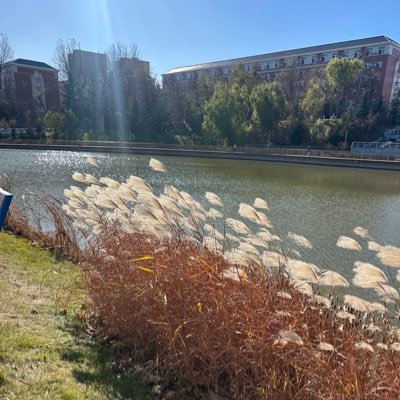 yuanyuanguan01's profile picture. thank you