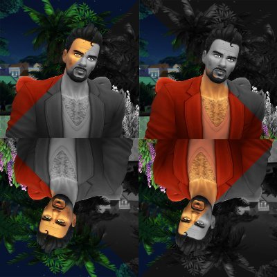 reverlautre's profile picture. Id: reverlautre