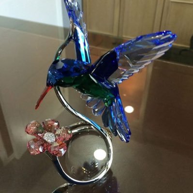 montsequintero3's profile picture. 