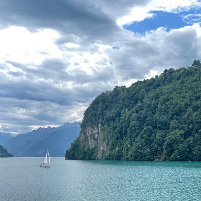 fernandez_56614's profile picture. 