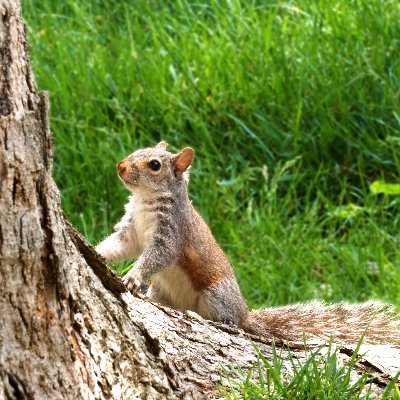 meadowandminnow's profile picture. 