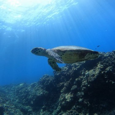 Hi_rassemble_'s profile picture. 神戸/@rassembler_band @_fomare_ @KEYTALKtweet