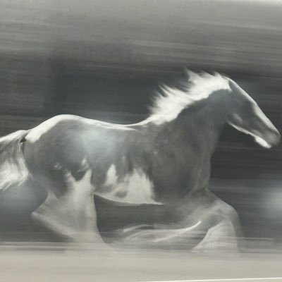 THEUN1VRSE's profile picture. ARTIST | COMMISSIONS•PRINTS/ CANVAS https://t.co/zO8wraZSmF | #FlyEaglesFly