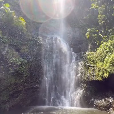 sighswoon's profile picture. 