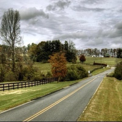 David202103's profile picture. 