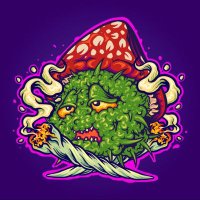 Dankzilla (@dankzilla_sol) 's Twitter Profile