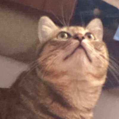 CCEatuuuuuuuu's profile picture. 半吊子快门工具人退休中！