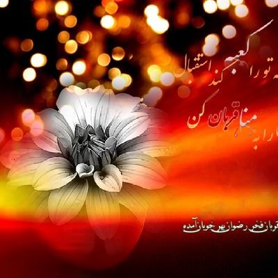 khawrmyanh62979's profile picture. 