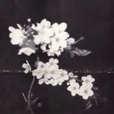 Areejfu's profile picture. PhD in reading difficulties