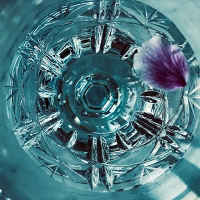 NIRVANA69876267's profile picture. photographer, videographer. all my works r ©NIRVANA./ 無断転用・加工禁止. 主にフィルムの撮って出し。加工は趣味じゃないけど頼まれればやる。